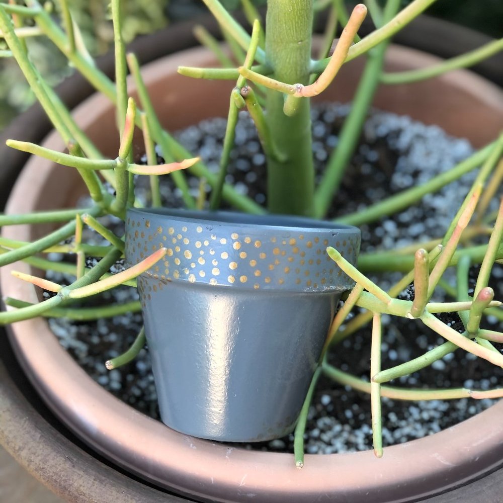 Starry Night in Matte Deep Gray, 4” Planter Pot